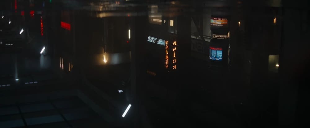 40.jpg
